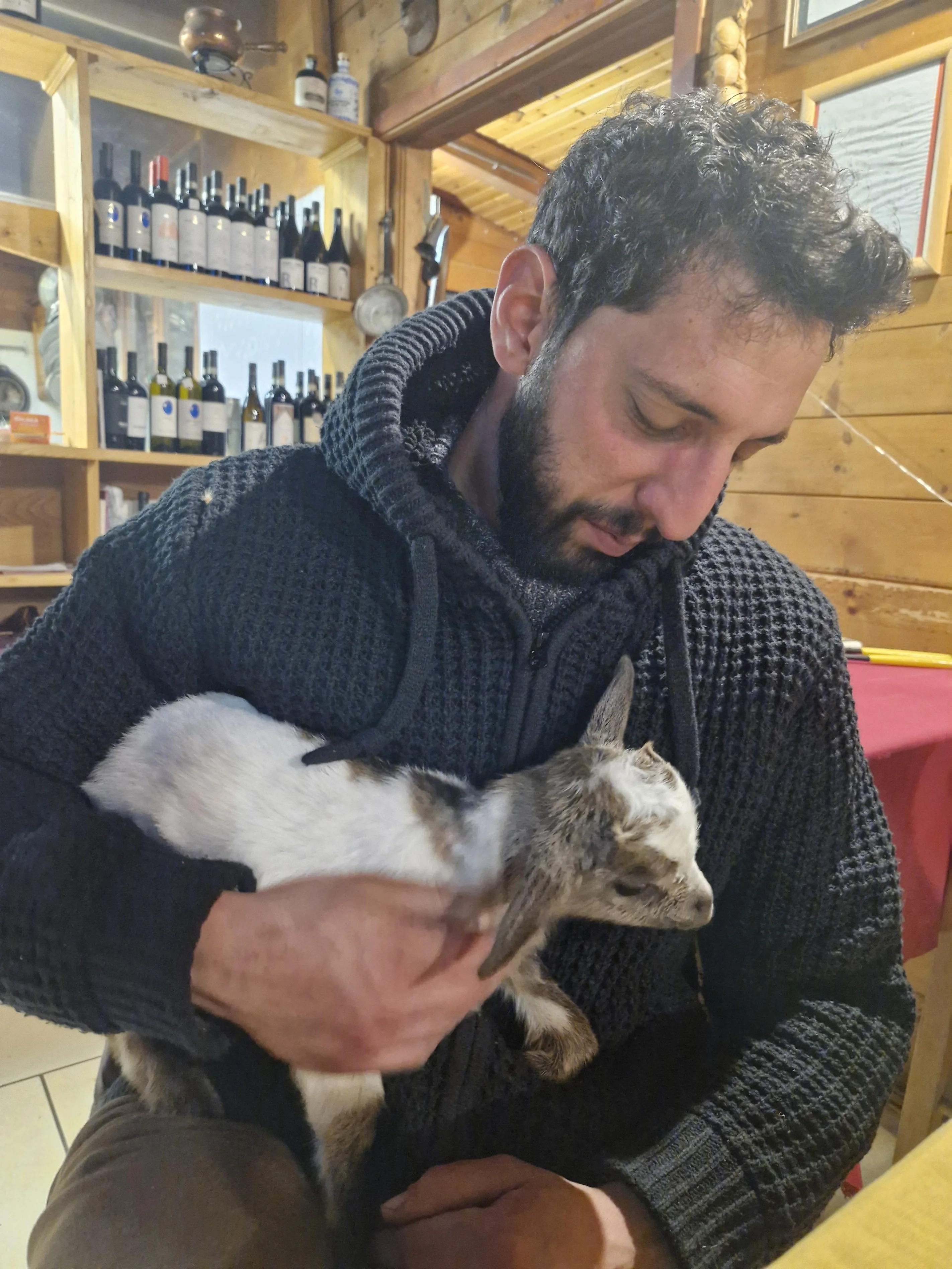Asinelli