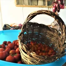 Agriturismo Cisogna - Tavoli